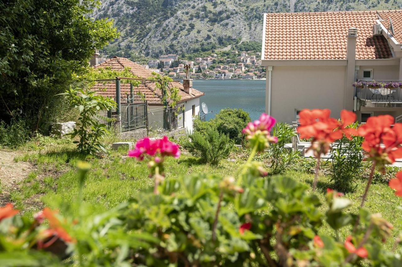 Muo Sea Front Apartments Kotor Eksteriør billede