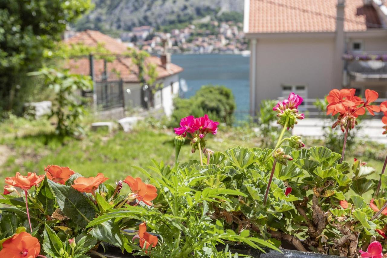 Muo Sea Front Apartments Kotor Eksteriør billede