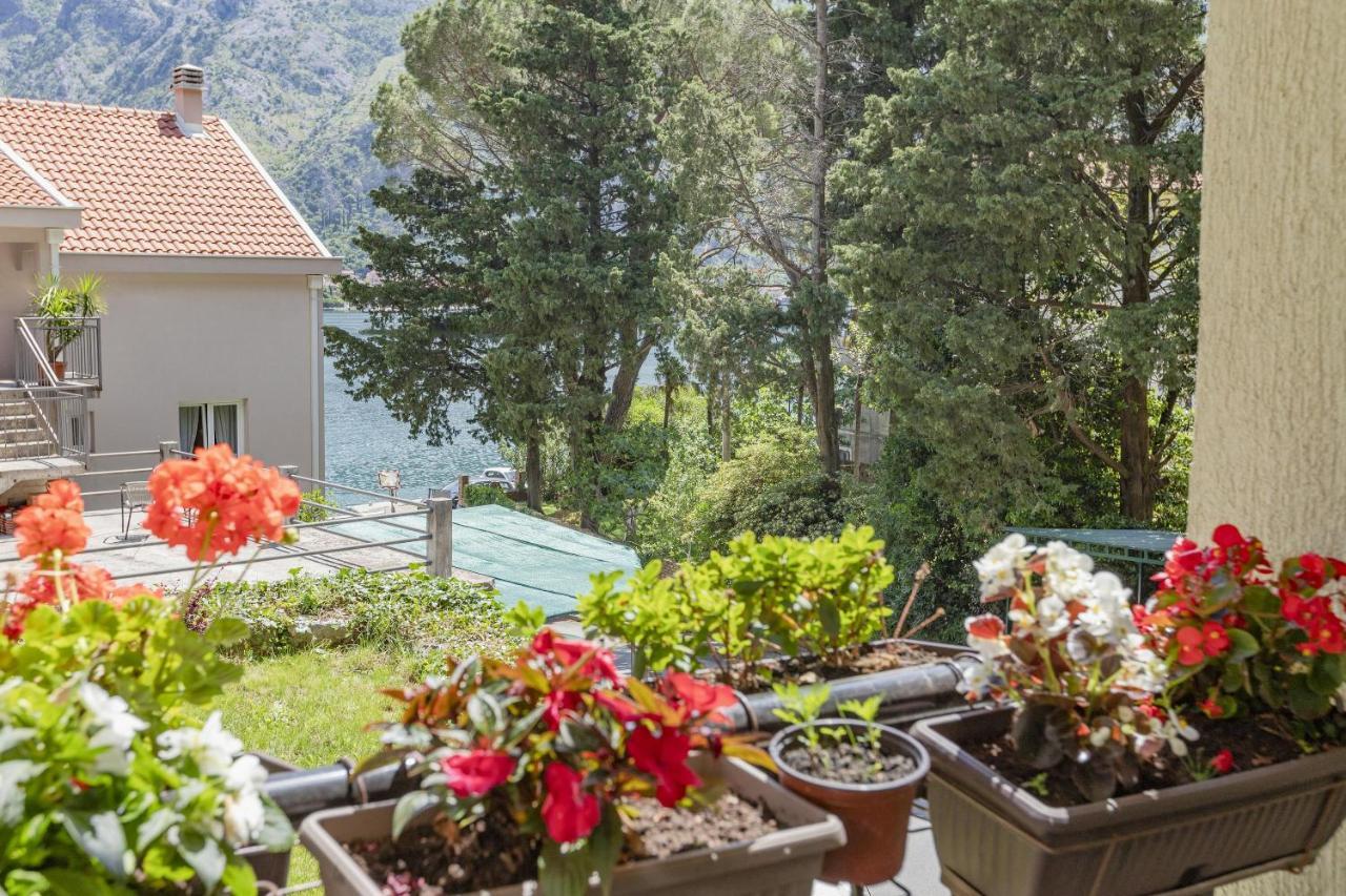 Muo Sea Front Apartments Kotor Eksteriør billede